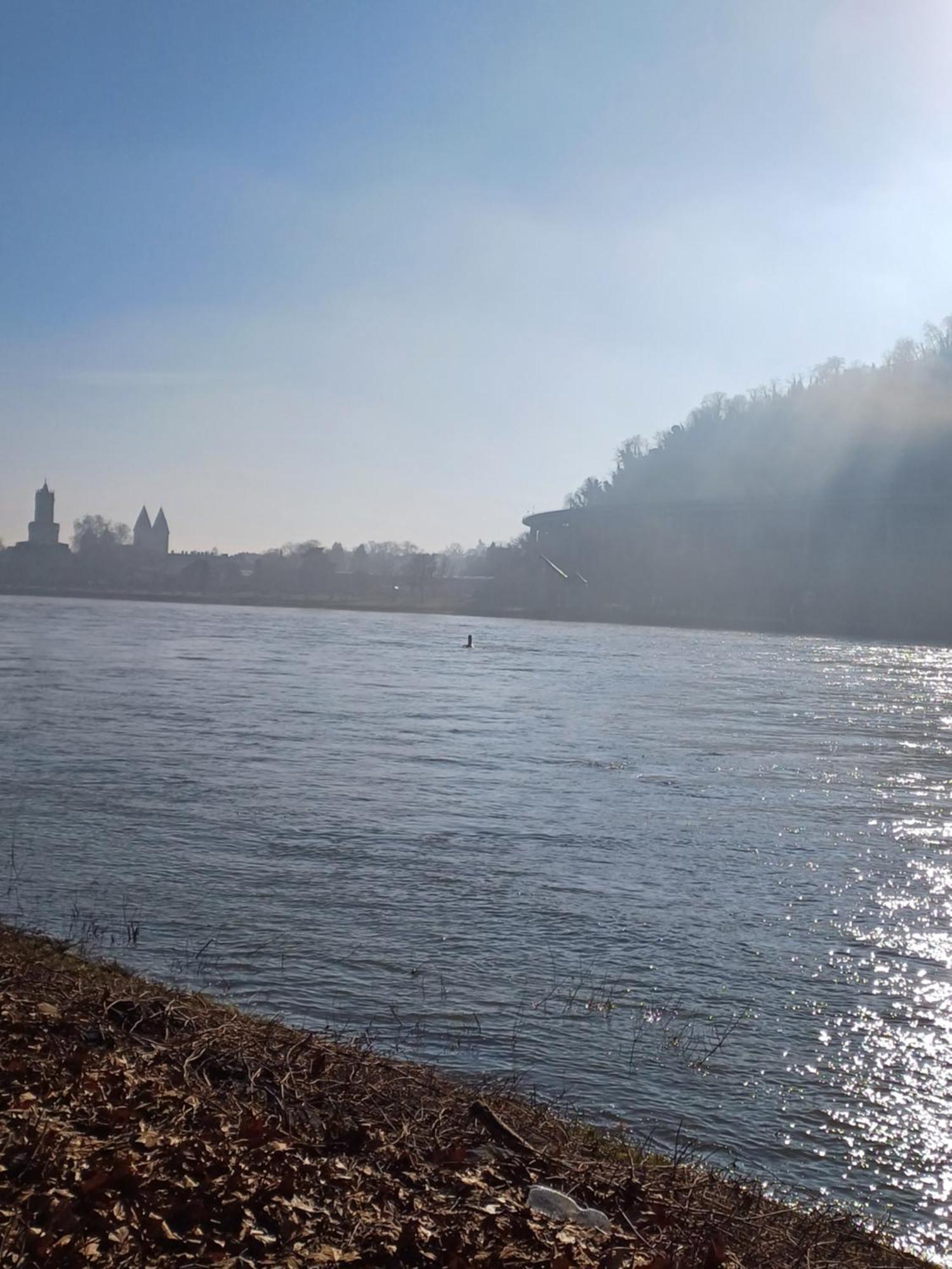 Apartament Casa Didi Leutesdorf Zewnętrze zdjęcie