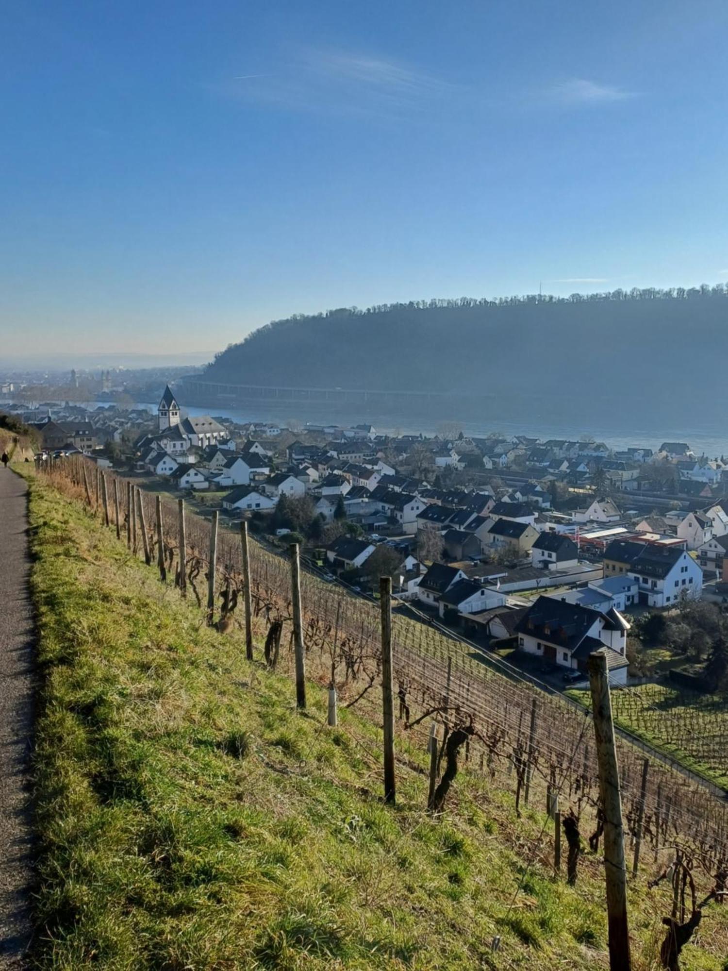 Apartament Casa Didi Leutesdorf Zewnętrze zdjęcie